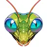 Mantis_Man's Avatar